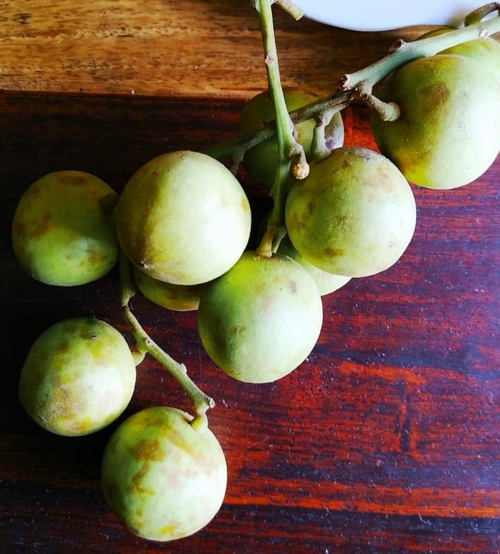 leteku-or-burmese-grapes